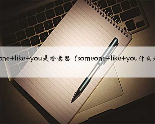 someone like you是啥意思（someone like you什么意思）